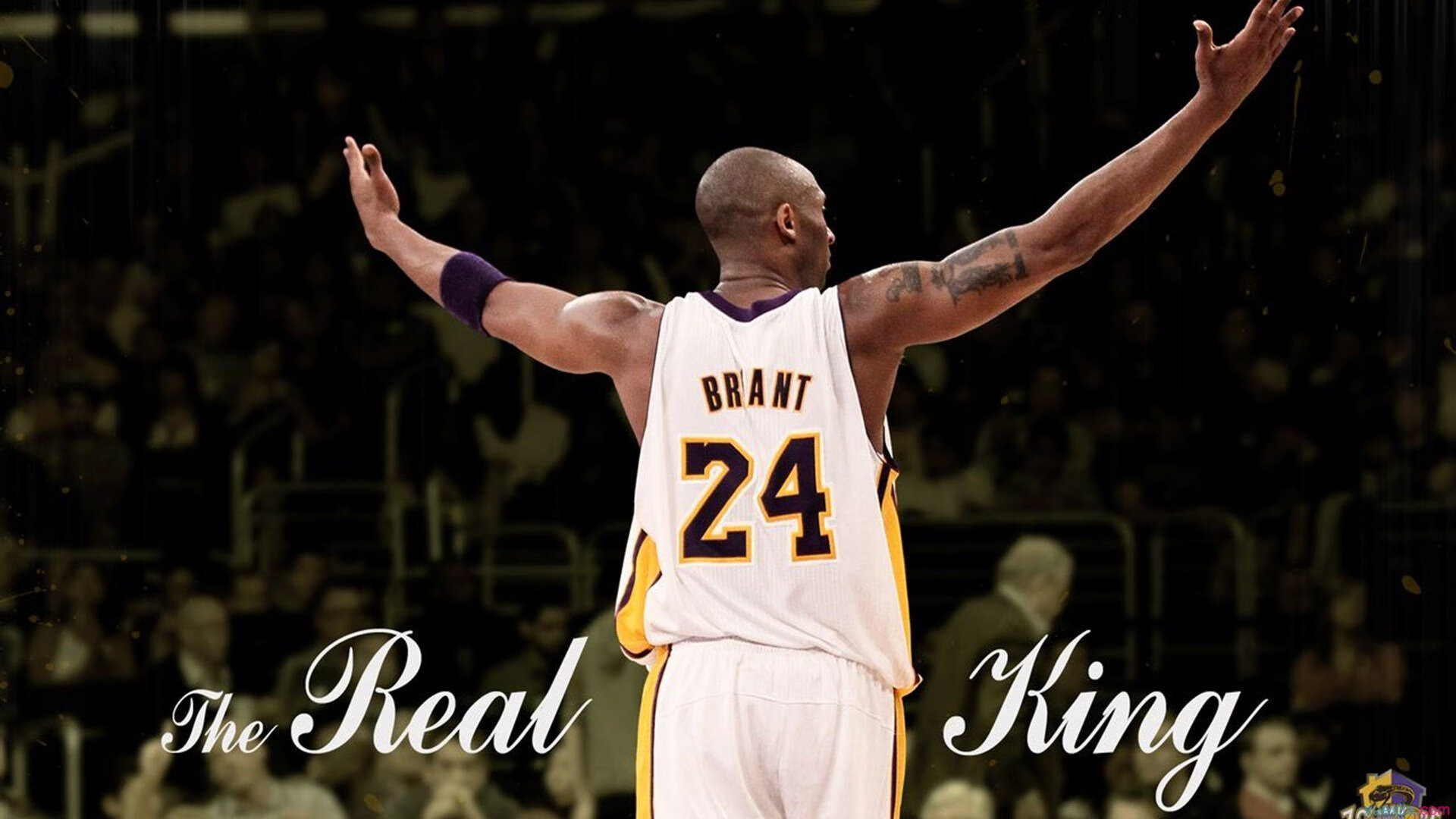 KAIYUNAPP-新兴比赛项目：快节奏、多局制引领潮流，新兴竞技项目